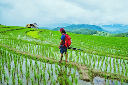 Giữ đà tăng trưởng, nông nghiệp hướng mạnh vào chất lượng và hiệu quả
